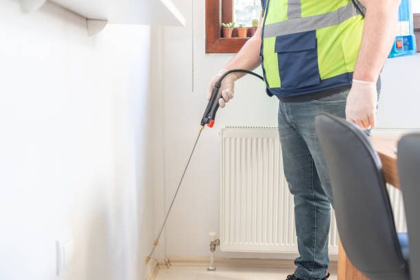 Best Termite Control Services  in Belleville, WI