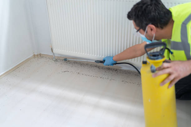 Best Exterminator Services  in Belleville, WI